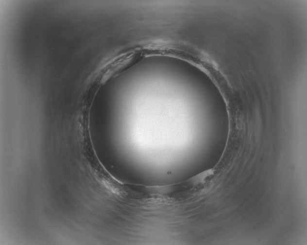 X0000071351304200606301642