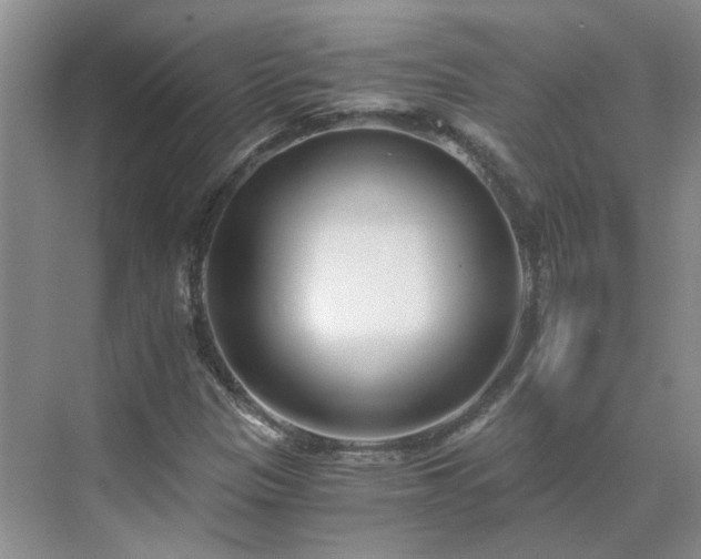 X0000071351305200606301642