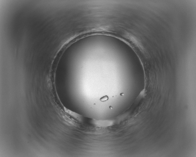 X0000071351308200606301642