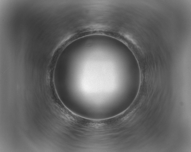 X0000071351309200606301642