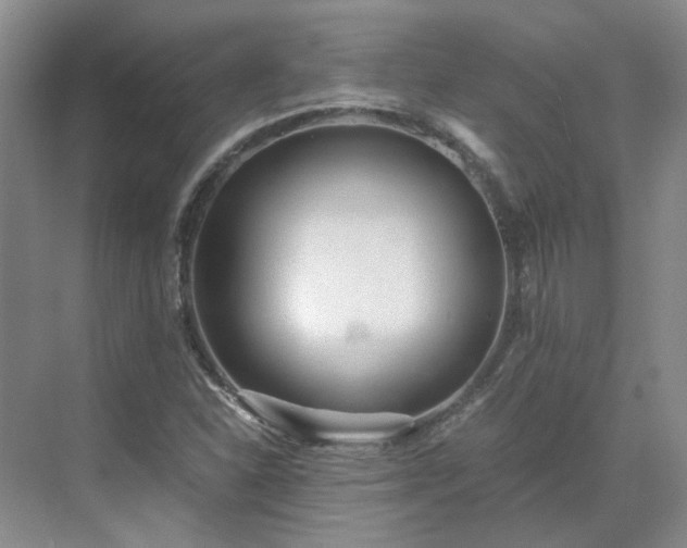 X0000071351310200606301642