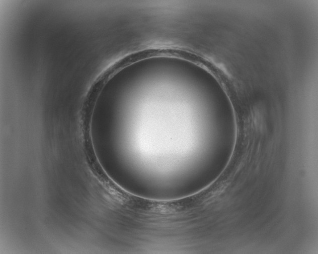 X0000071351311200606301642