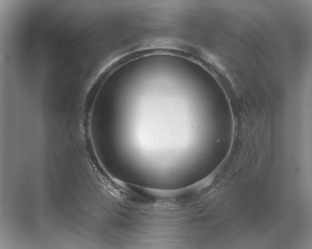 X0000071351312200606301642