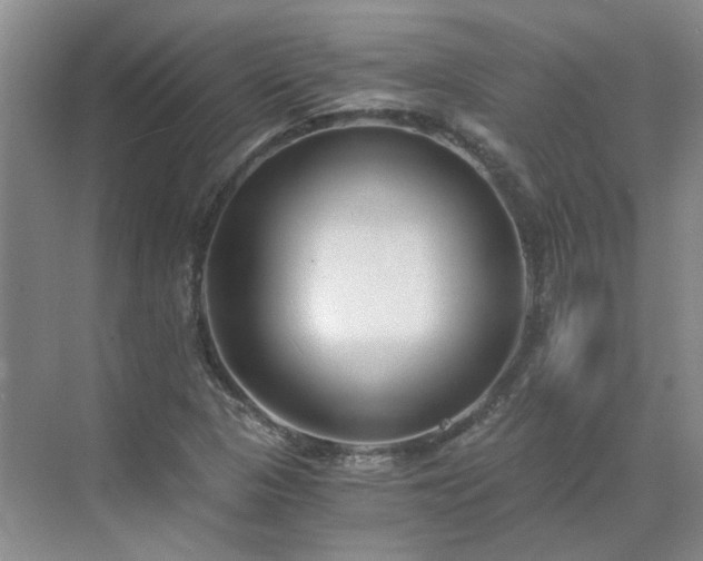 X0000071351313200606301642