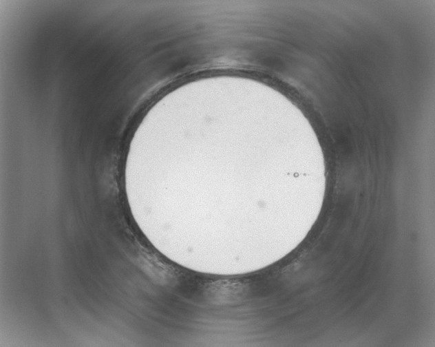 X0000071351314200606301642