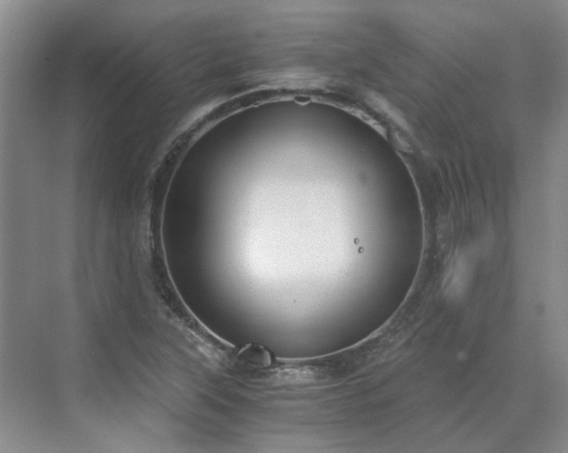 X0000071351315200606301642