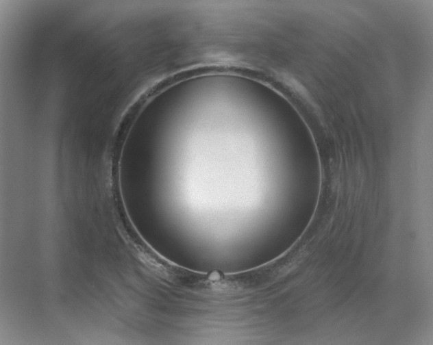 X0000071351318200606301642