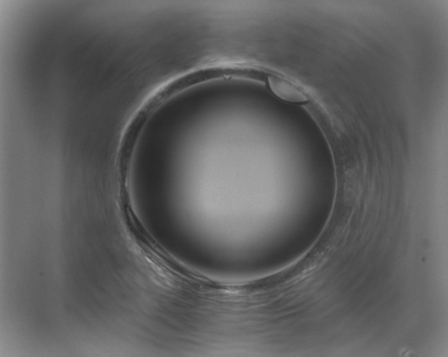 X0000071351319200606301642