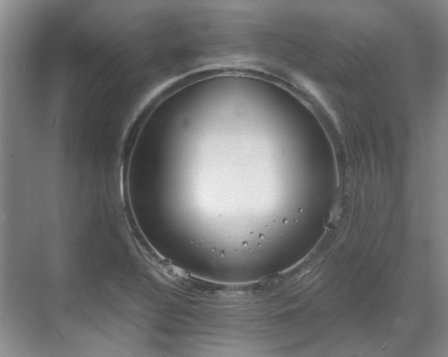 X0000071351320200606301642