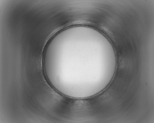 X0000071351322200606301642