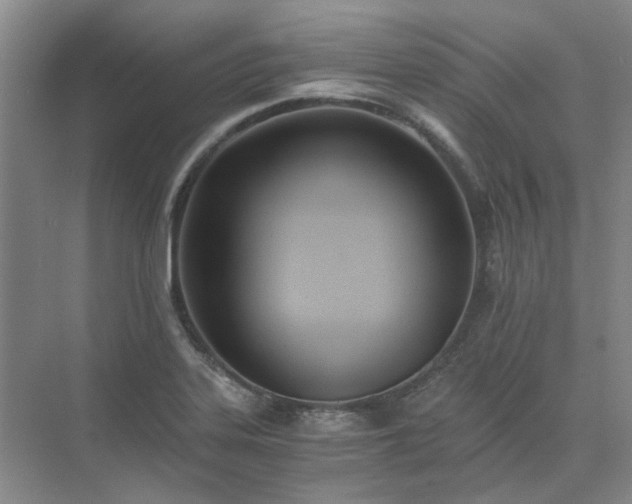 X0000071351323200606301642