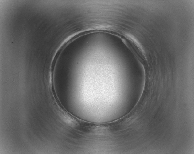 X0000071351324200606301642