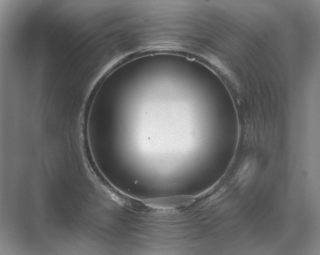 X0000071351325200606301642