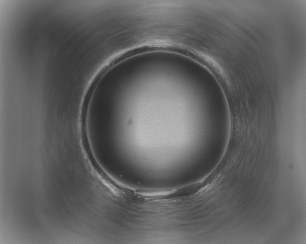 X0000071351327200606301642