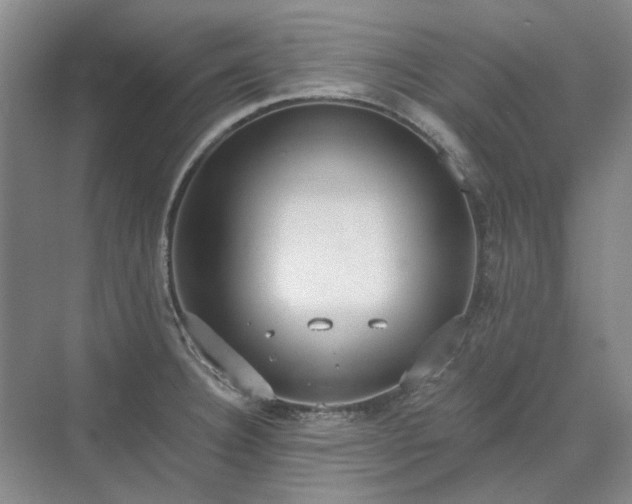 X0000071351332200606301642