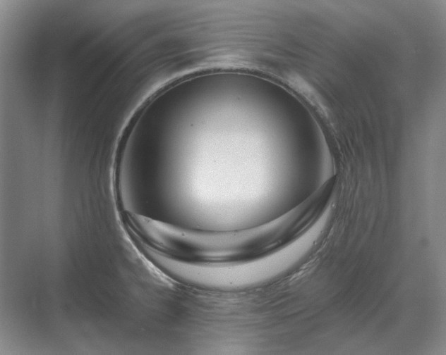 X0000071351334200606301642