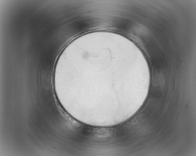 X0000071351338200606301642