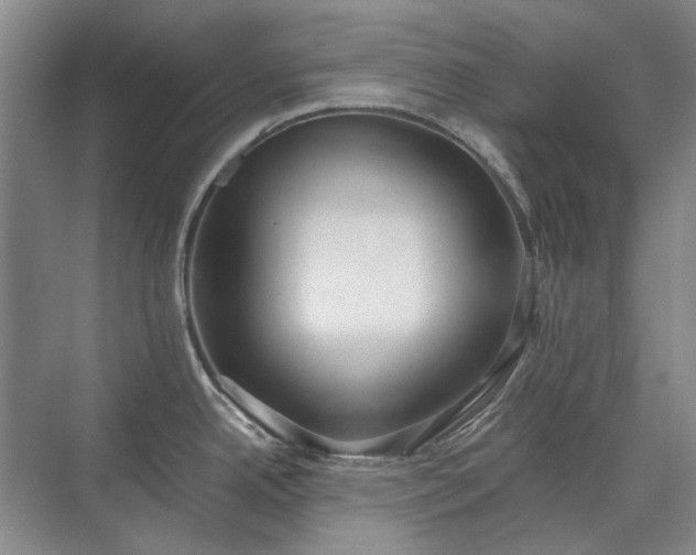 X0000071351342200606301642