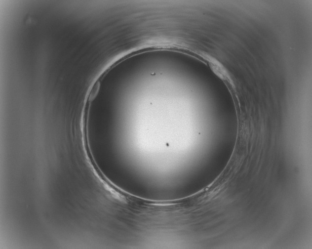 X0000071351343200606301642