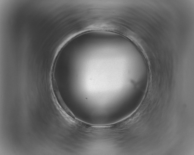 X0000071351344200606301642