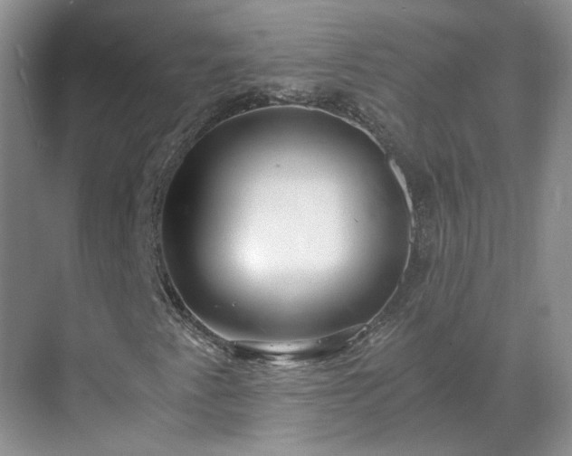 X0000071351345200606301642