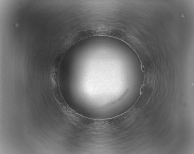 X0000071351346200606301642