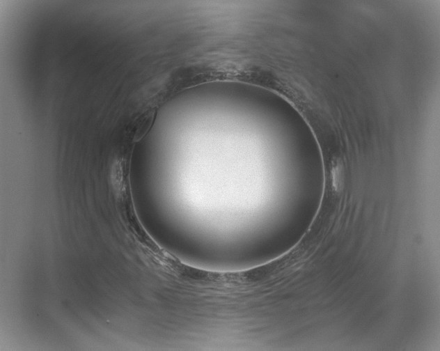 X0000071351347200606301642