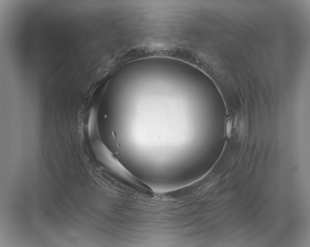 X0000071351348200606301642