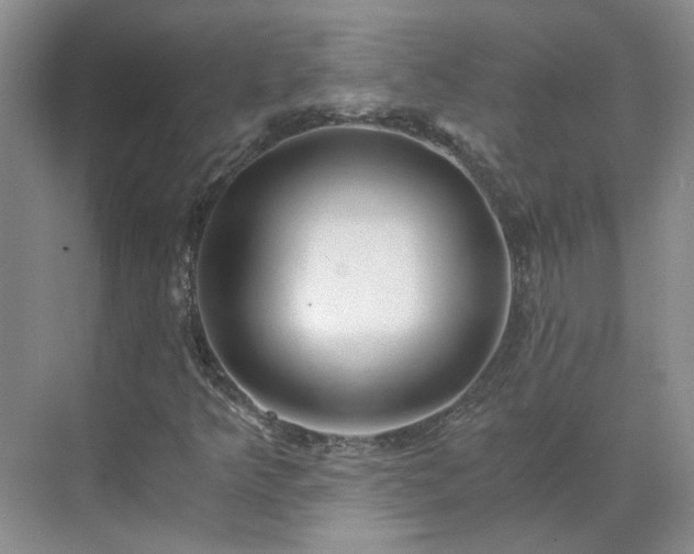 X0000071351349200606301642