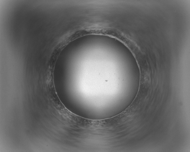 X0000071351350200606301641