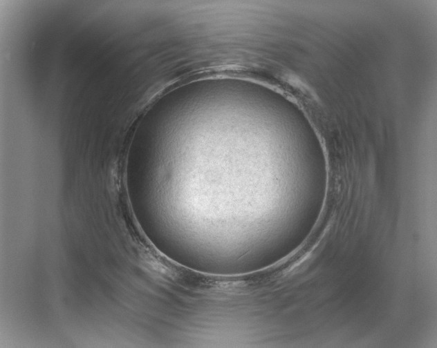 X0000071351353200606301641