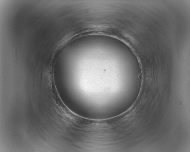 X0000071351354200606301641