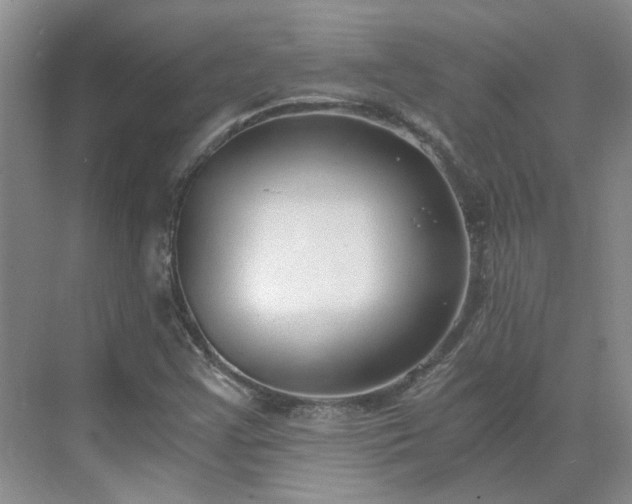 X0000071351355200606301641