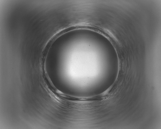 X0000071351356200606301641