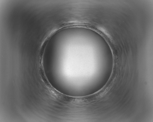 X0000071351357200606301641