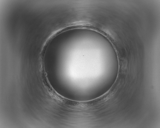 X0000071351358200606301641