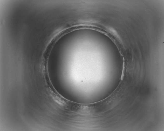 X0000071351360200606301641