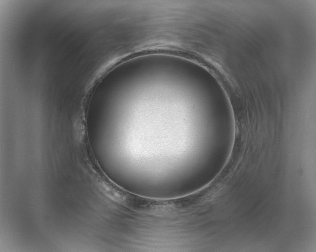 X0000071351363200606301641