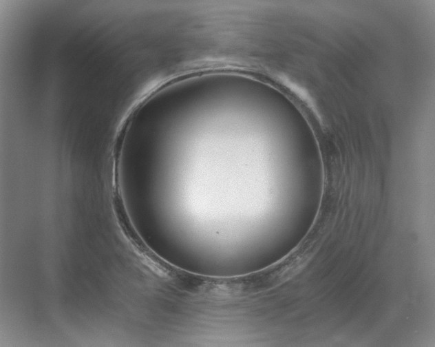 X0000071351365200606301641