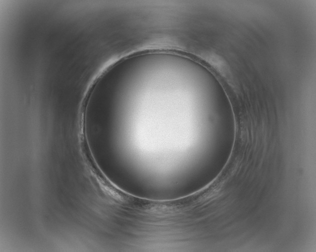 X0000071351366200606301641