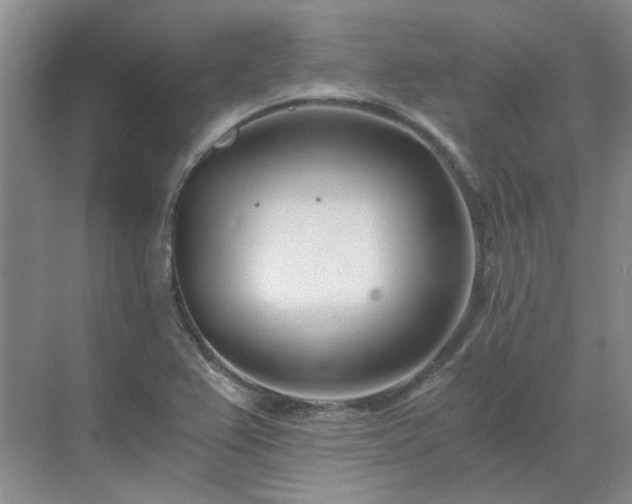 X0000071351367200606301641