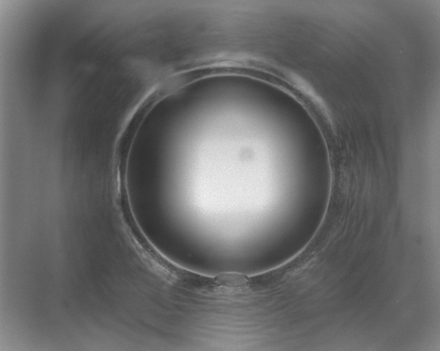 X0000071351368200606301641