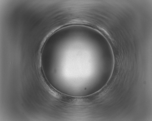 X0000071351371200606301641