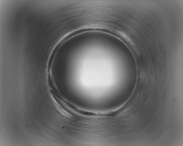 X0000071351372200606301641