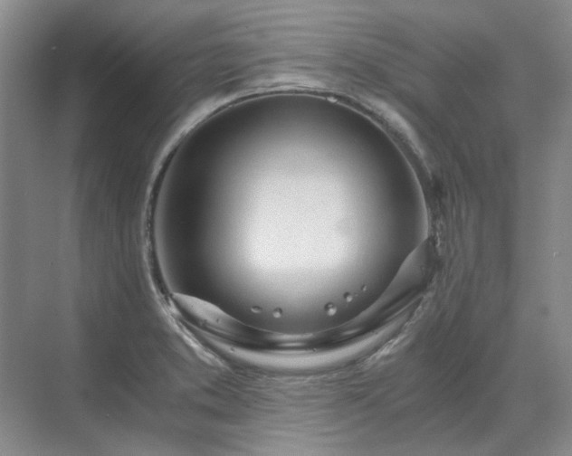 X0000071351373200606301641