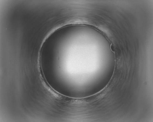 X0000071351374200606301641