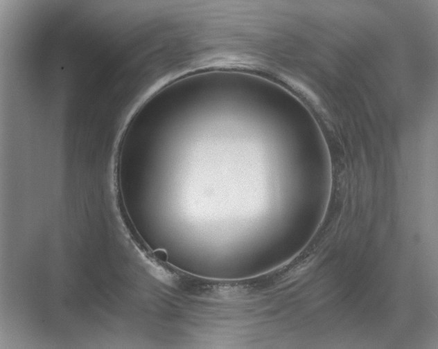 X0000071351375200606301641