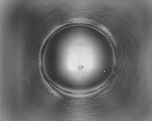 X0000071351376200606301641