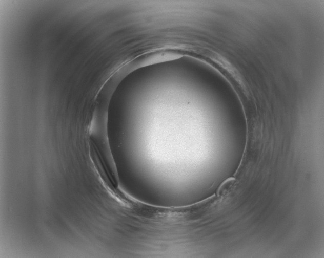 X0000071351377200606301641