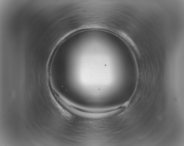 X0000071351380200606301641